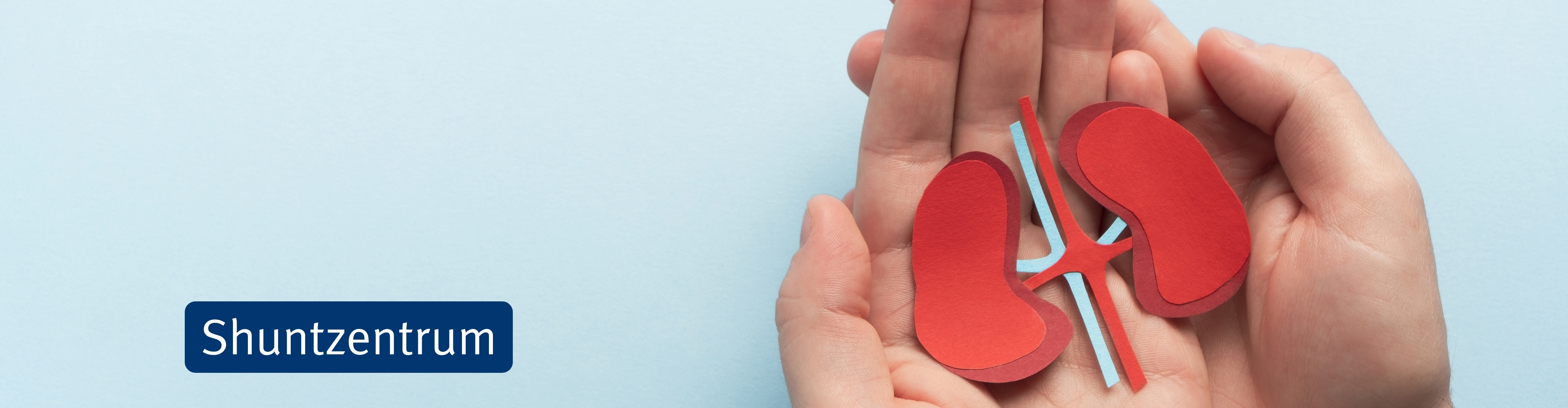 SAH Headerpicture kein Overlay