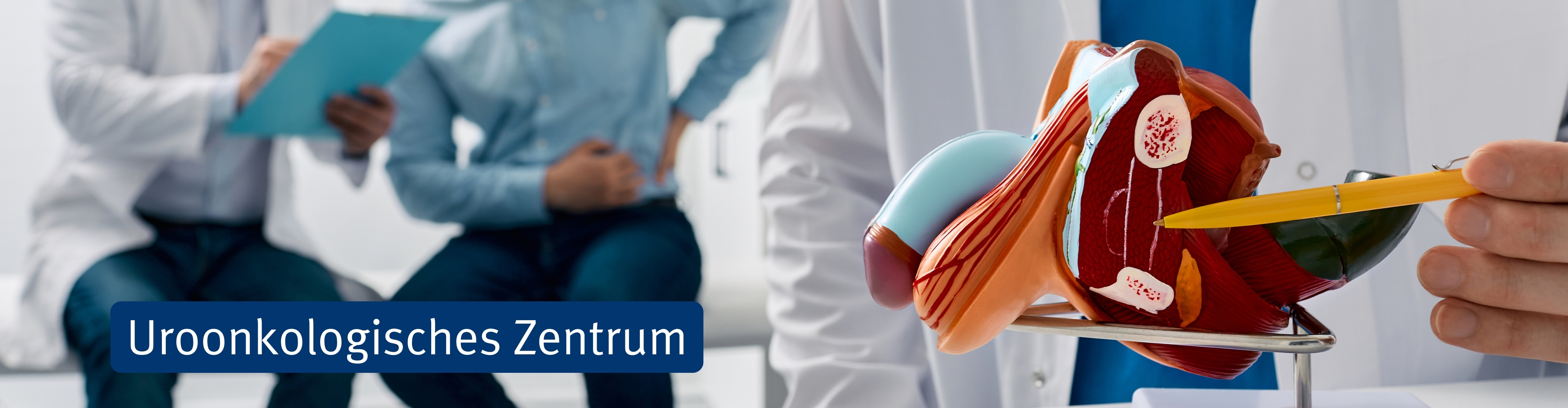 SAH Headerpicture kein Overlay