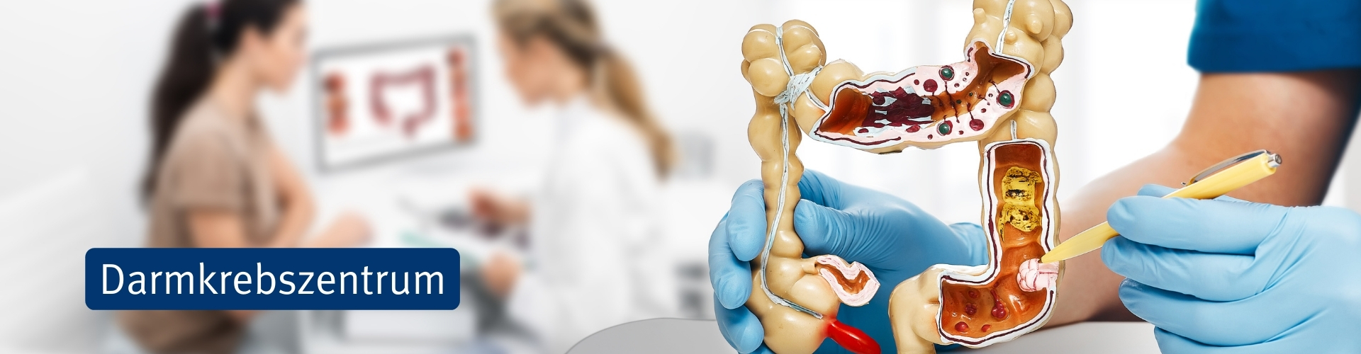 SAH Headerpicture kein Overlay